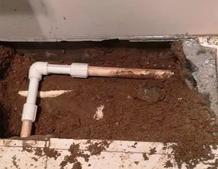 灌南测漏水哪家好