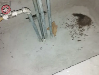 灌南卫生间测漏水价格明细