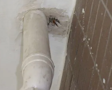 灌南漏水检测哪家好